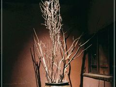 -都氏家DUSJOY(翡翠城店)