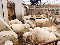 -OUR Bakery(SKP-S店)