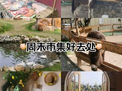 -HERRE·FARM 赫尔露营农场·团建聚会包场