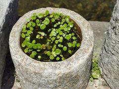 -前童古镇