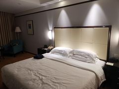 -武汉江城明珠豪生大酒店