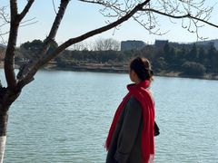 -羊山湖公园