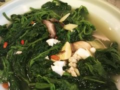-大榕树下顺德菜(融创茂店)