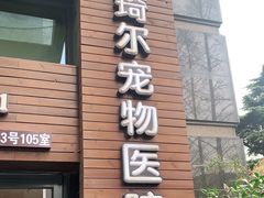 -爱侣·安琦尔宠物医院·中兽医针灸·心内科·狂犬免疫点(宝山区院)