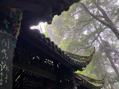 -青城山