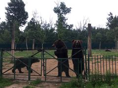 -秦皇岛野生动物园