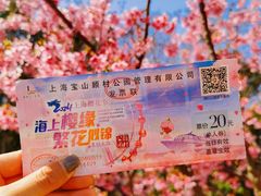 -顾村公园