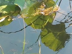 -香山公园-东宫门售票处