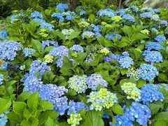 -崇圣寺三塔文化旅游区