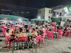 -霞姐屯昌枫木香草鸭店(海螺店)