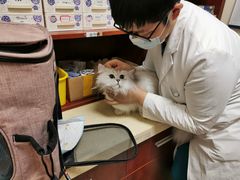 -艾贝尔宠物诊疗