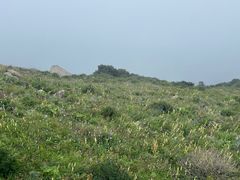 -白草畔自然风景区