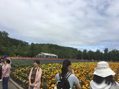 -富田农场