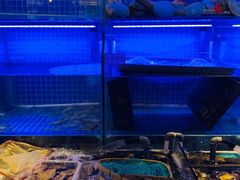 水产区-捞围鲜·港式打边炉(海阳路店)