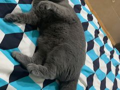 -KKV(深圳宏发大仟里店)