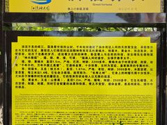 -江湾神木园
