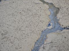 -北海金海湾红树林生态旅游区