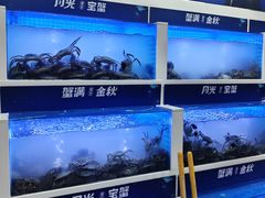-蟹状元大闸蟹·年货·粽子(成都成华店)