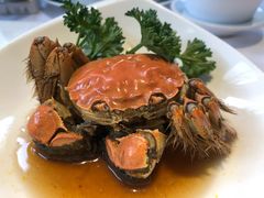 -老洋房花园饭店(绍兴路店)