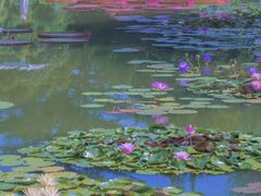 -杭州植物园
