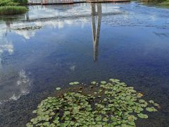 -芒洲湿地公园