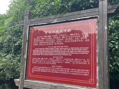 -冶父山国家森林公园