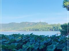 -湖畔居茶楼(湖滨店)