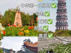 -顺峰山公园