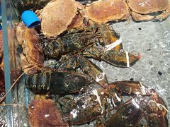 -渔傅·霞浦滩涂海鲜(建平店)