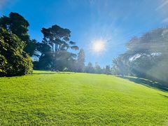 -墨尔本皇家植物园