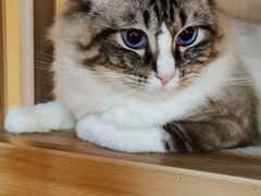 -白兔子密室(长寿路店)