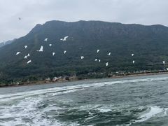 -深圳海钓·深圳钓鱼·拓展聚会鱼排