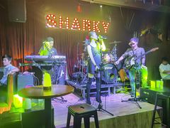 -鲨鱼美式餐厅酒吧Sharky