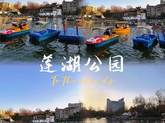 -莲湖公园