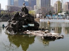 -团结湖公园