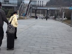 -三江森林温泉度假区