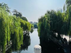 -趵突泉景区