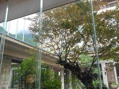 -三清山希尔顿度假酒店