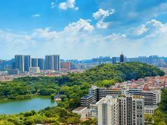 -安乐茶饭·手工素菜·高空景观餐厅(千灯湖店)