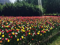 -长春公园(普阳街道)