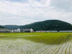 -渔寮风景区