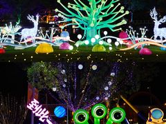 -锦江乐园舞狸花花游园会(夜场专享)