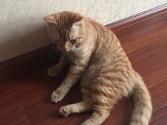 -大观园影院式足浴Spa店(沙坪坝店)