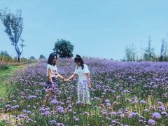 -泰山天颐湖旅游度假区