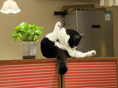 -路易时光(蕴川路店)