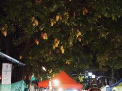 -周日夜市