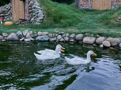 -HERRE·FARM 赫尔露营农场·团建聚会包场