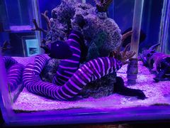 -太平洋海底世界