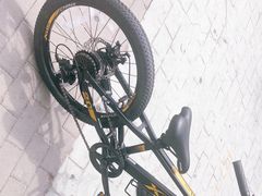 -道路口单车爱瓦士dahon大行