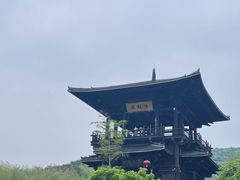 -大唐贡茶院
